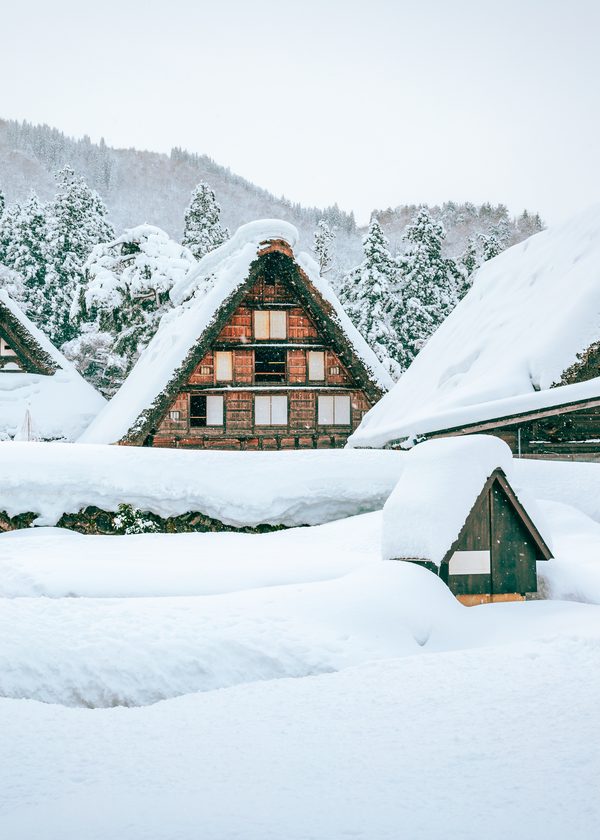 Snow falling on traditional thatched-roof houses, Shirakawago, Gifu